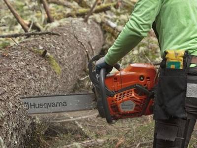 Chainsaws & Tree Care