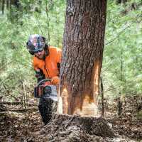 HUSQVARNA 572 XP Chainsaw  image 3