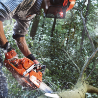 Husqvarna 555 18" Chainsaw image 2