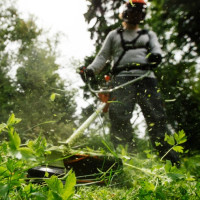 Husqvarna 543RS Brushcutter image 4