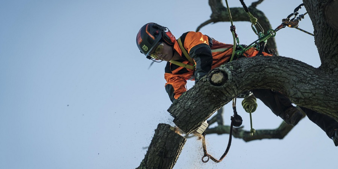 Husqvarna Arborist